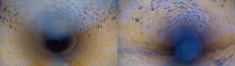 Get a sewer scope inspection in Memphis Tennessee from Edward Inspections